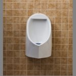 Urinal Systems, Florida